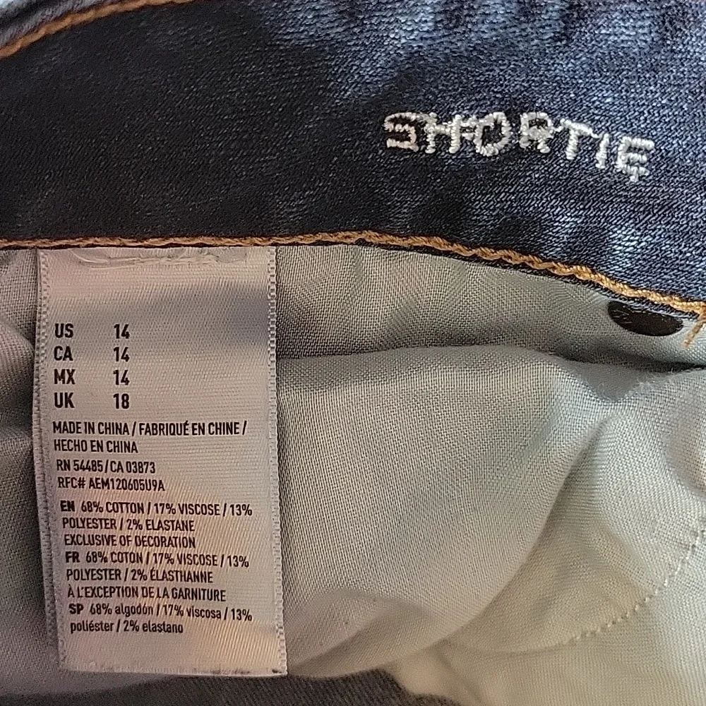 Denim American Eagle Shorts - Picture 2 of 4